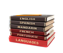 Collection of foreign language books